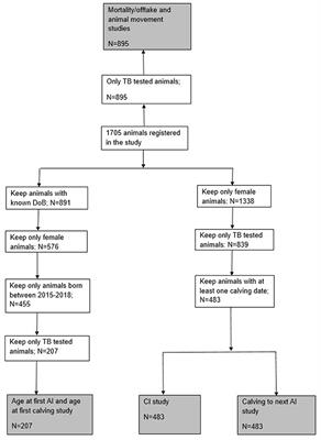 Effect of Bovine Tuberculosis on Selected Productivity Parameters and Trading in Dairy Cattle Kept Under Intensive Husbandry in Central Ethiopia